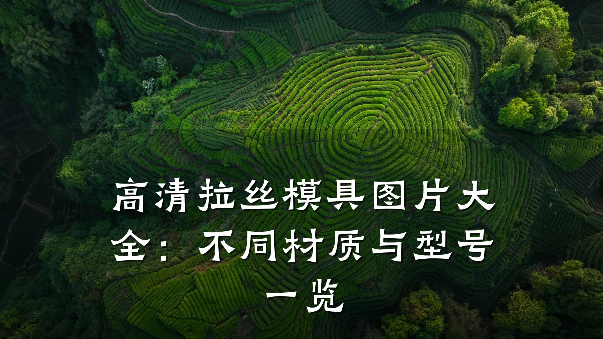 高清拉丝模具图片大全：不同材质与型号一览