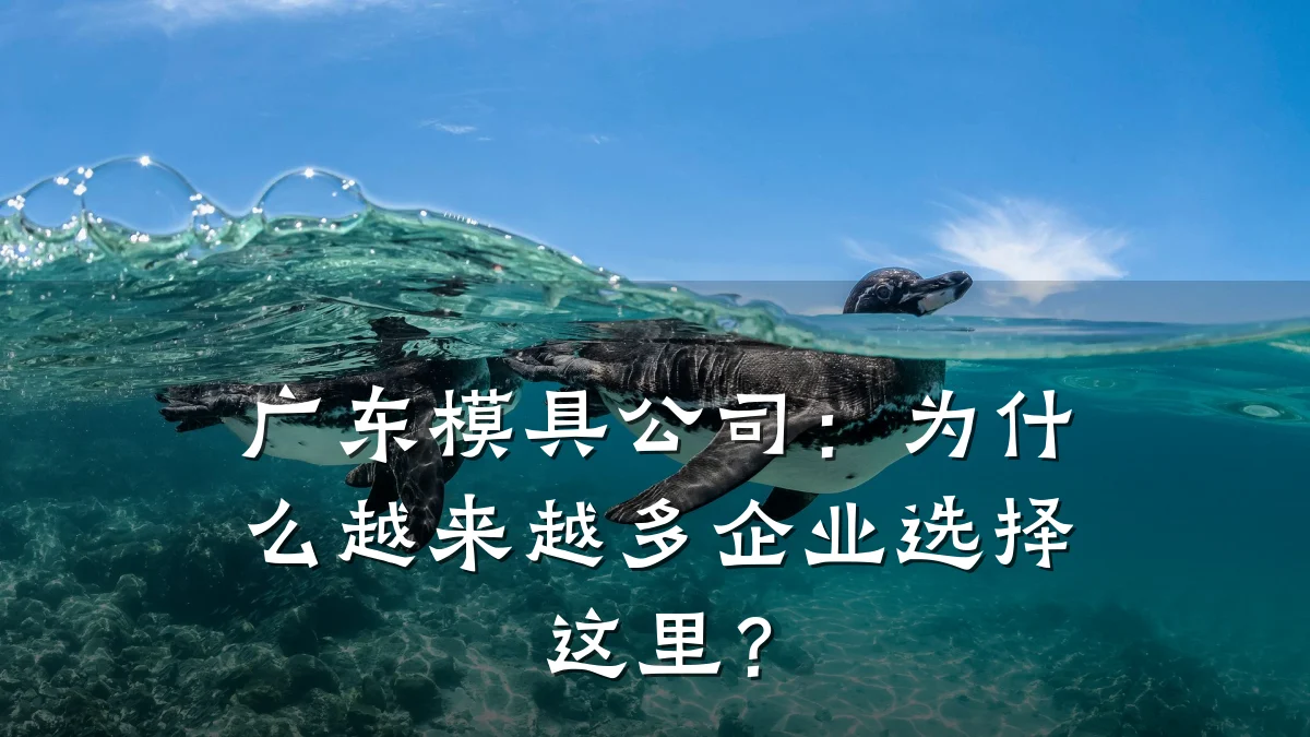 广东模具公司:为什么越来越多企业选择这里?