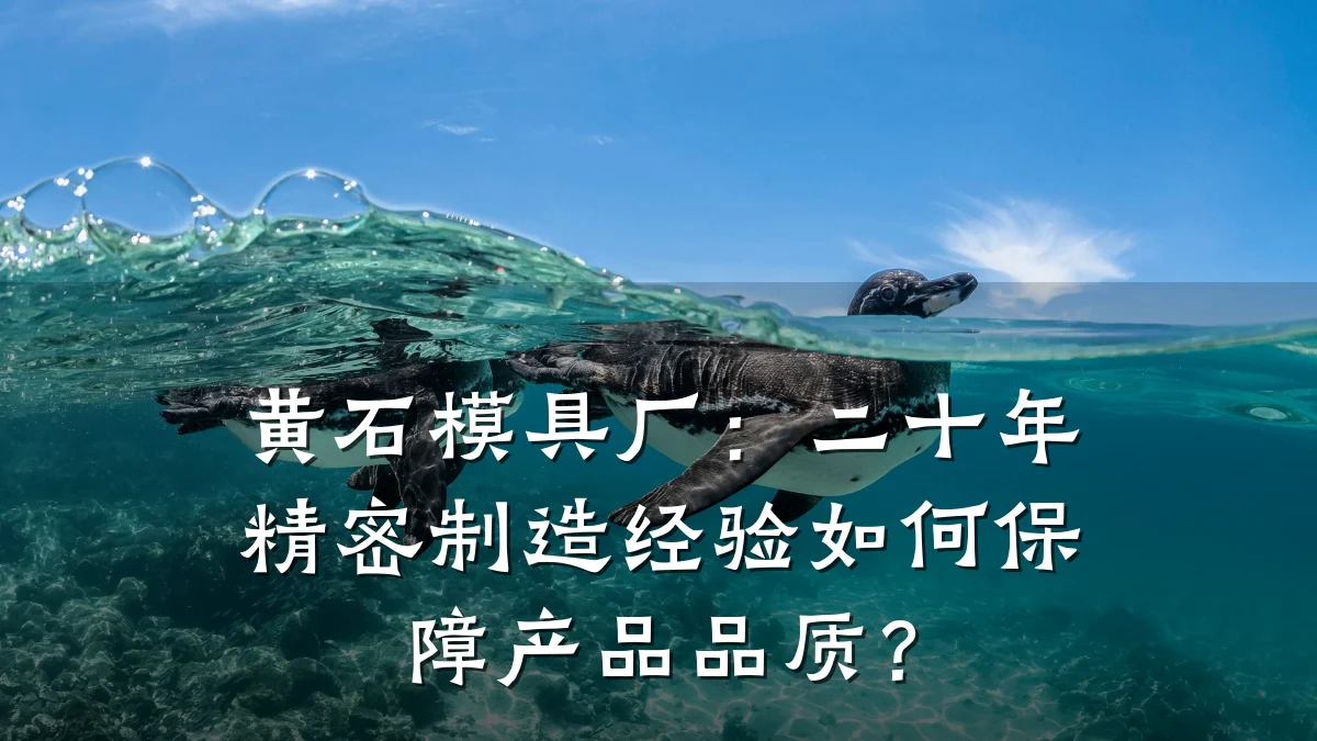 黄石模具厂:二十年精密制造经验如何保障产品品质?