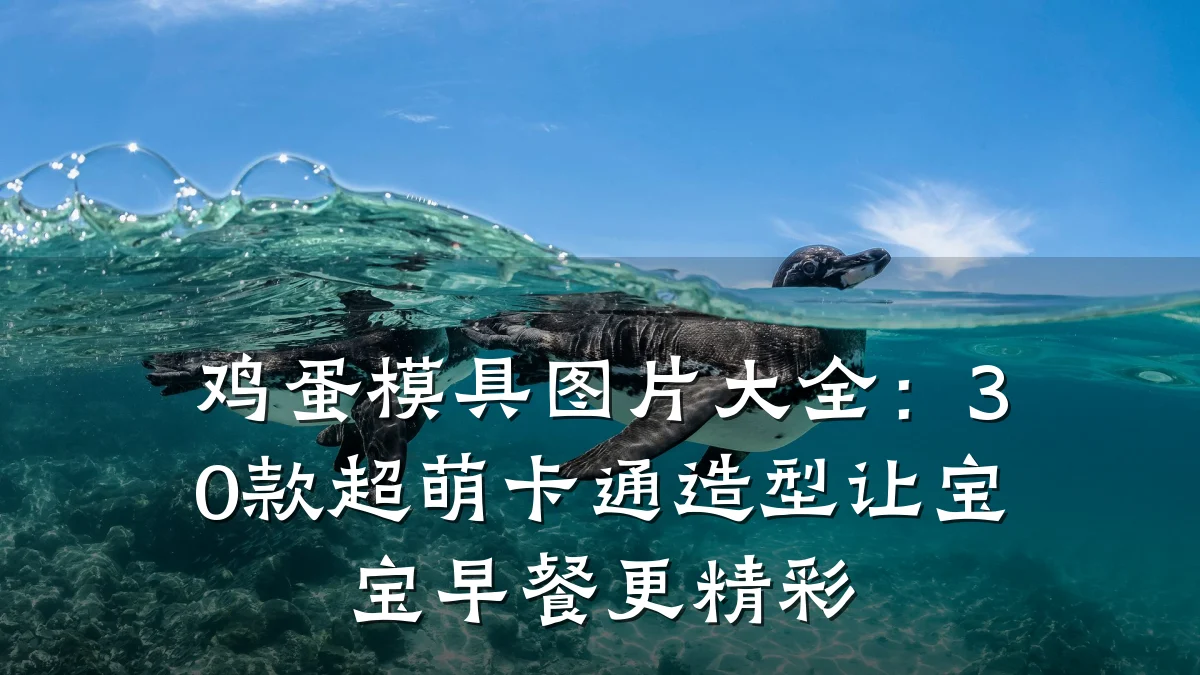 鸡蛋模具图片大全:30款超萌卡通造型让宝宝早餐更精彩