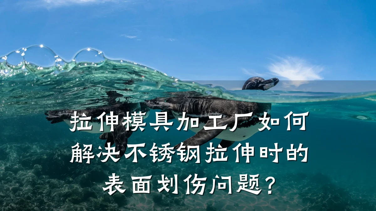 拉伸模具加工厂如何解决不锈钢拉伸时的表面划伤问题?