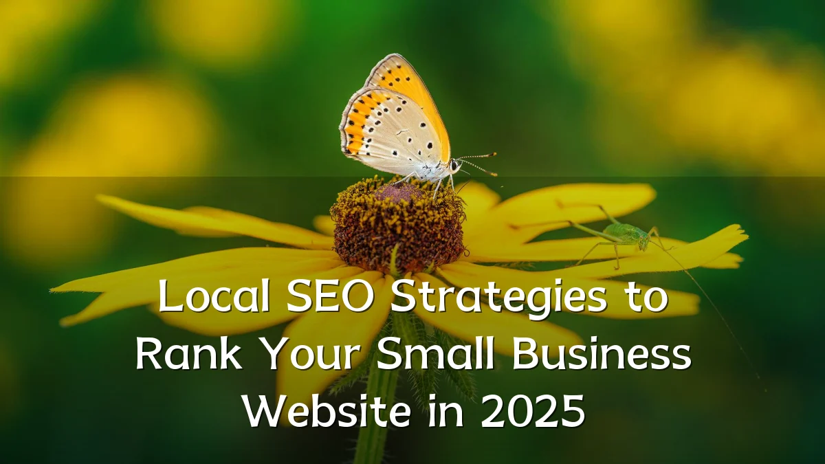 Local SEO Strategies to Rank Your Small Business Website in 2025