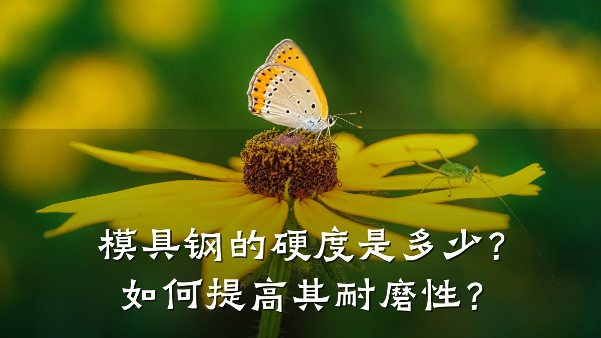 模具钢的硬度是多少?如何提高其耐磨性?