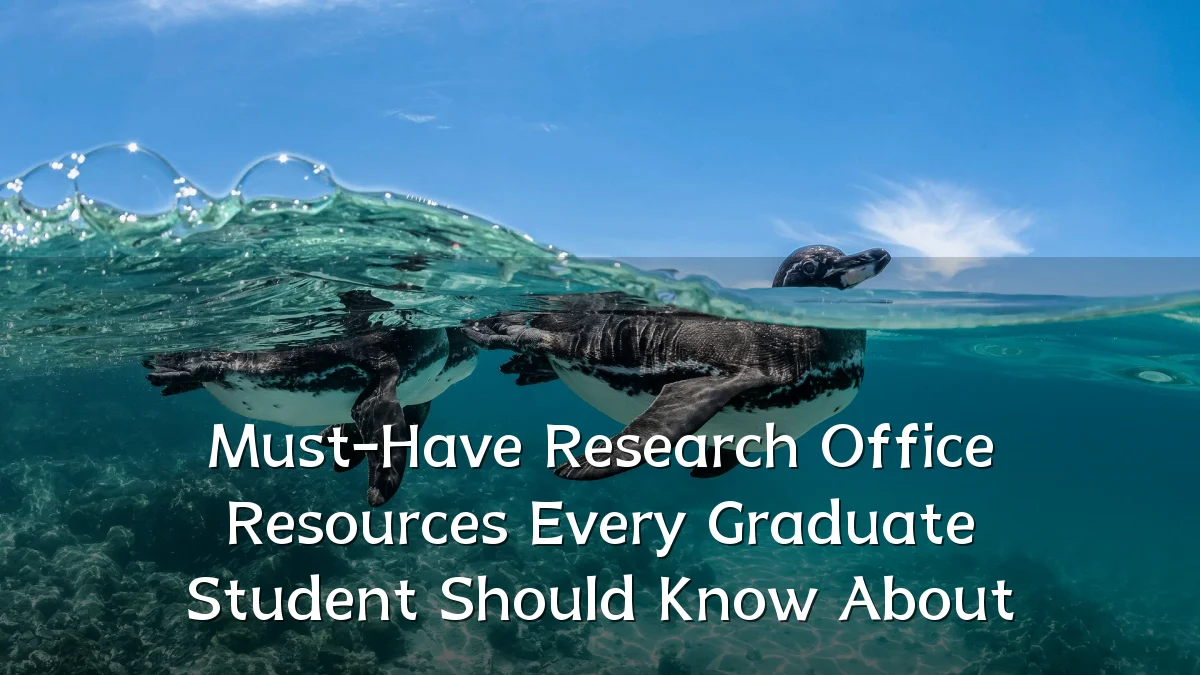 Must-Have Research Office Resources Every Graduate Student Should Know About