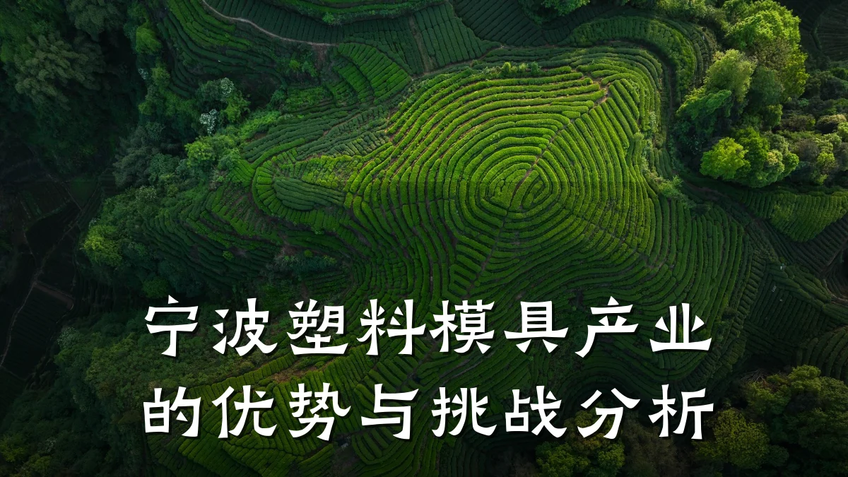 宁波塑料模具产业的优势与挑战分析