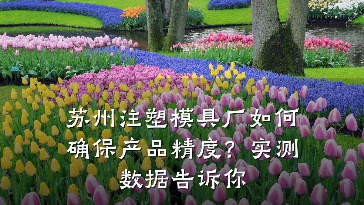 苏州注塑模具厂如何确保产品精度?实测数据告诉你