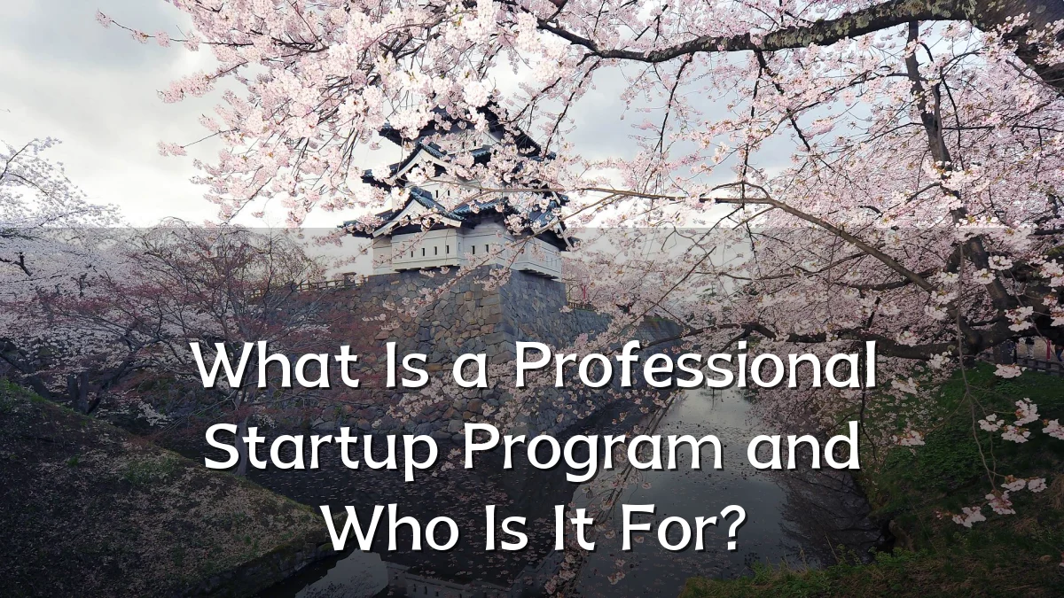 What Is a Professional Startup Program and Who Is It For?