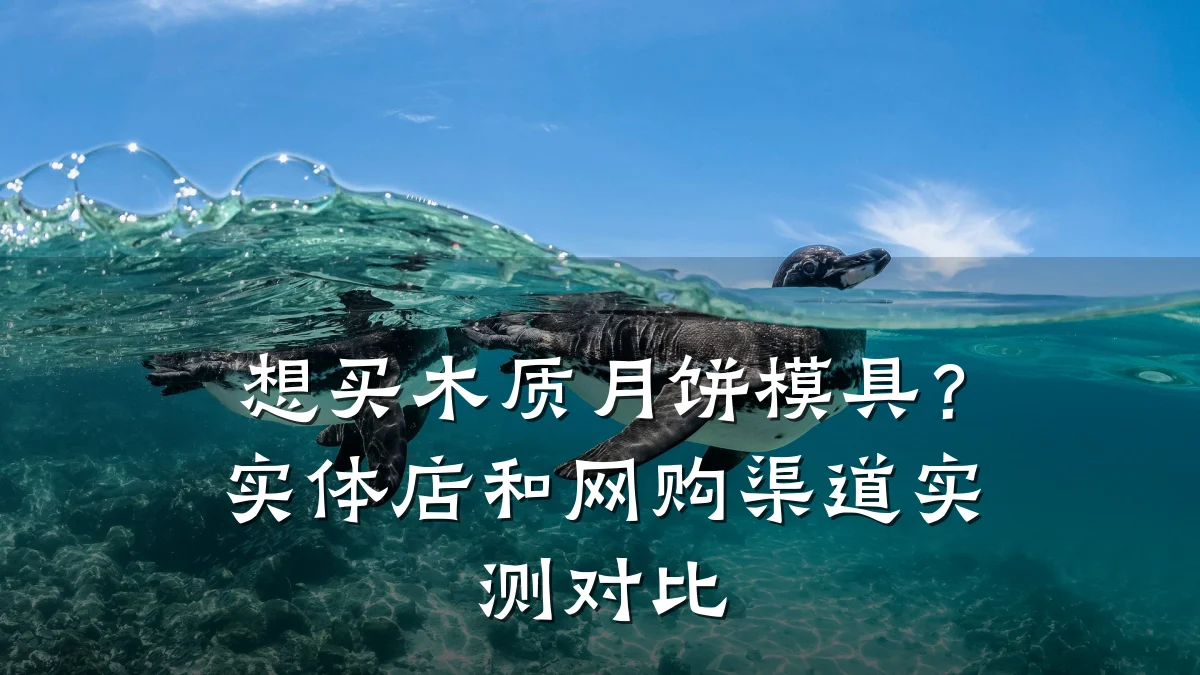 想买木质月饼模具？实体店和网购渠道实测对比