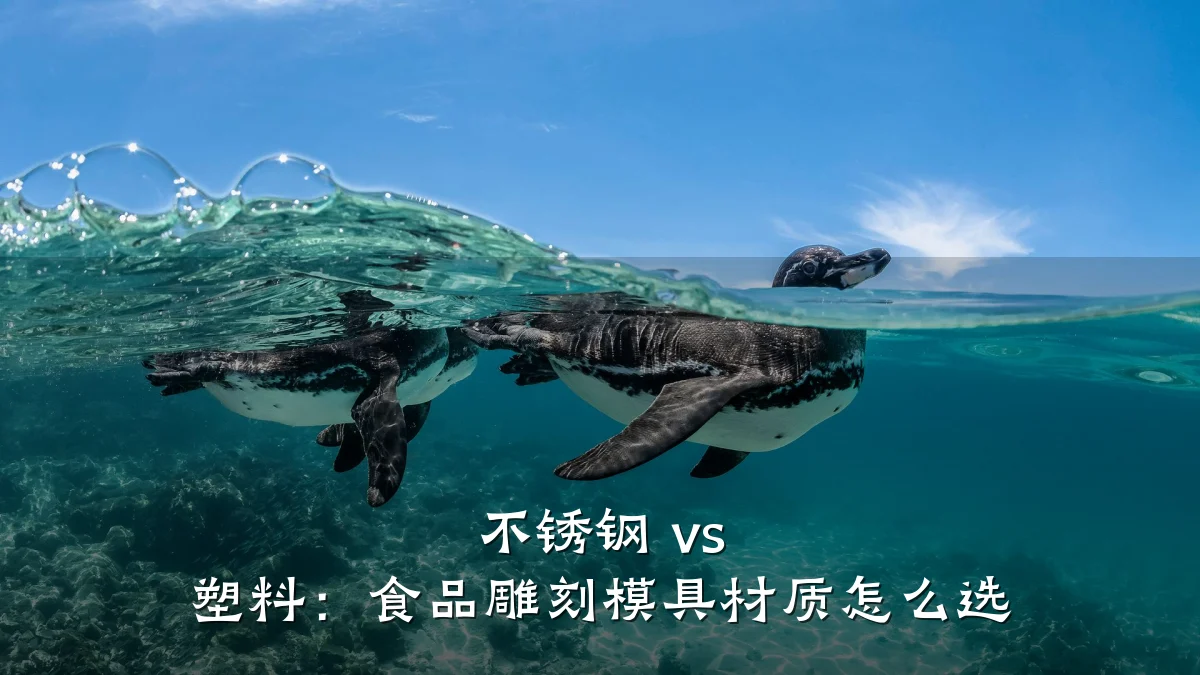 不锈钢 vs 塑料:食品雕刻模具材质怎么选