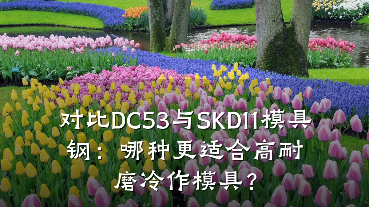 对比DC53与SKD11模具钢:哪种更适合高耐磨冷作模具?