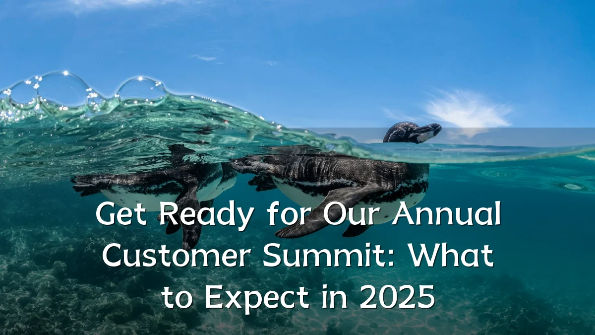 Get Ready for Our Annual Customer Summit: What to Expect in 2025