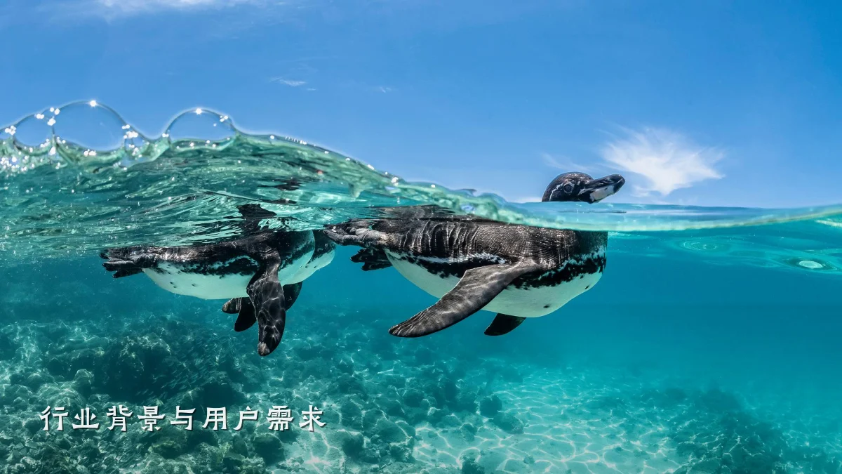 行业背景与用户需求