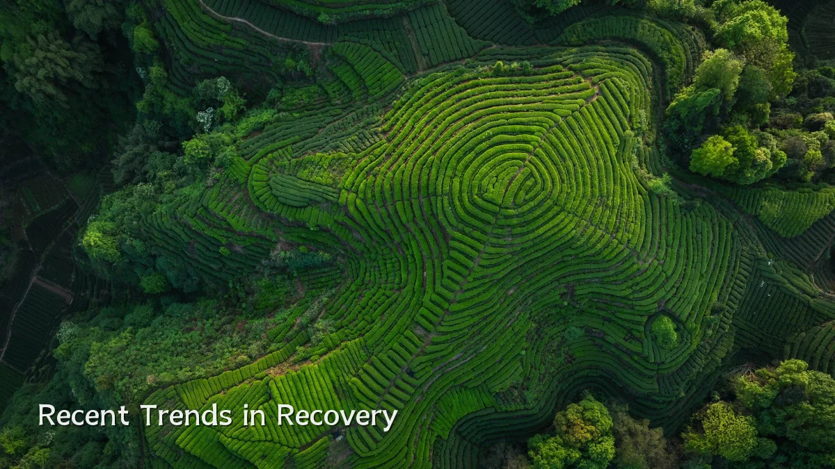 Recent Trends in Recovery