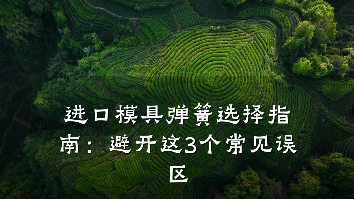 进口模具弹簧选择指南:避开这3个常见误区