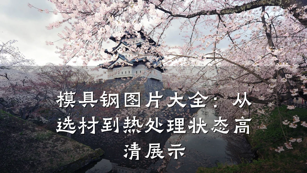 模具钢图片大全:从选材到热处理状态高清展示
