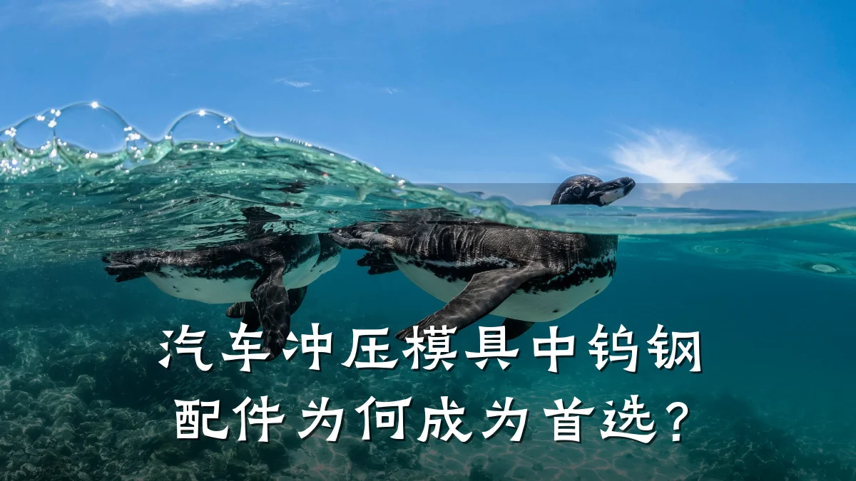 汽车冲压模具中钨钢配件为何成为首选?