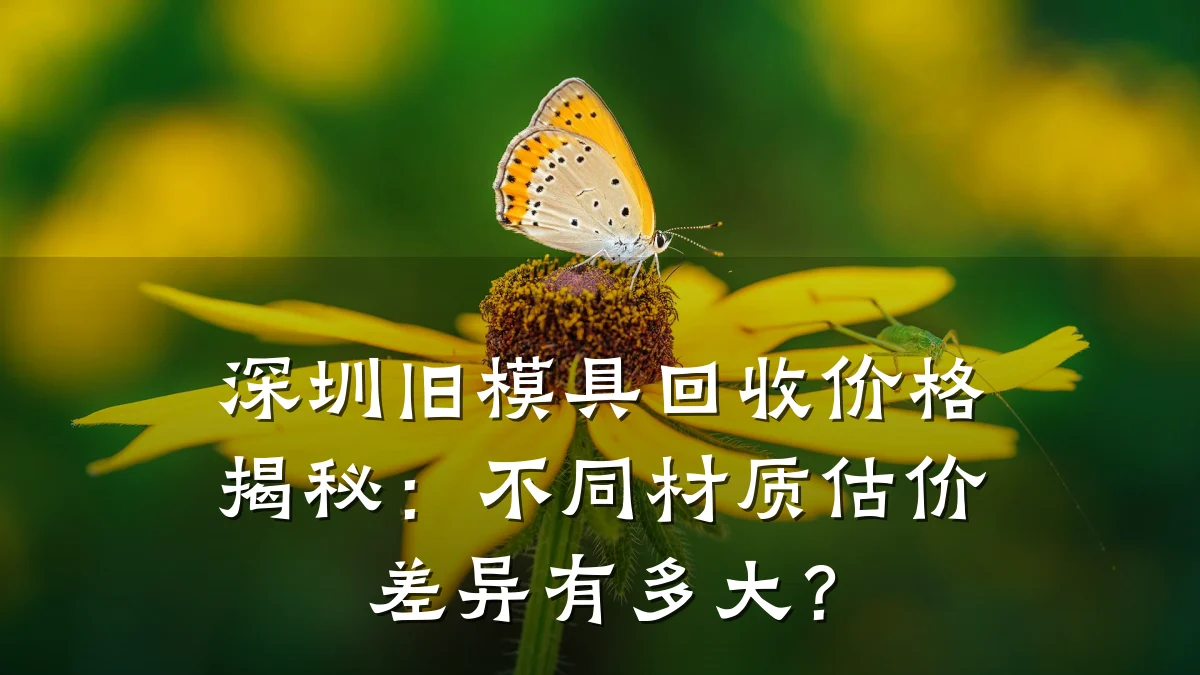 深圳旧模具回收价格揭秘:不同材质估价差异有多大?