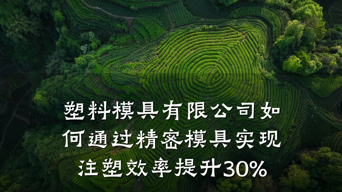 塑料模具有限公司如何通过精密模具实现注塑效率提升30%
