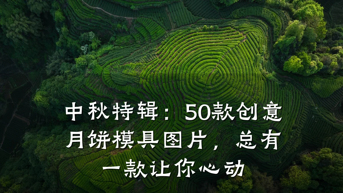 中秋特辑:50款创意月饼模具图片,总有一款让你心动