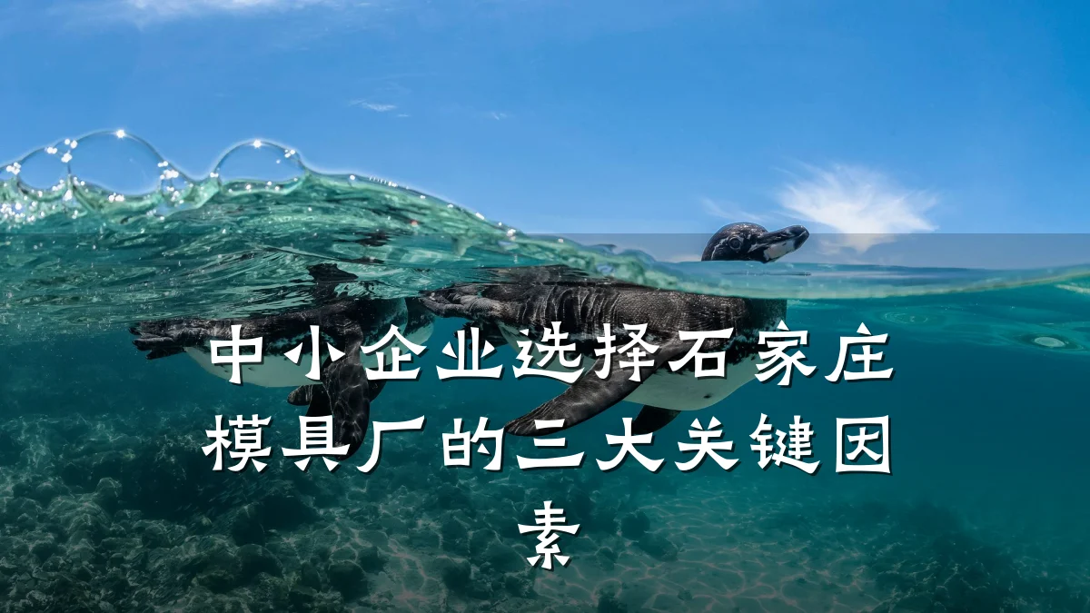 中小企业选择石家庄模具厂的三大关键因素