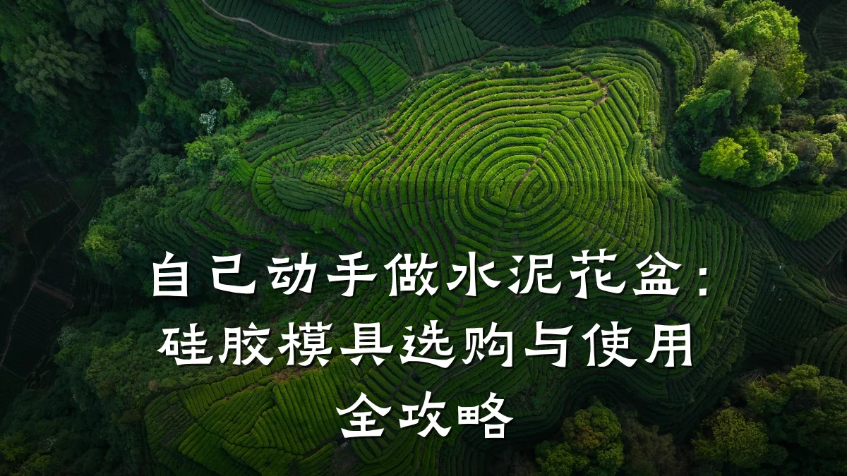 自己动手做水泥花盆：硅胶模具选购与使用全攻略