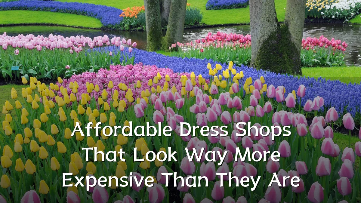 Affordable Dress Shops That Look Way More Expensive Than They Are