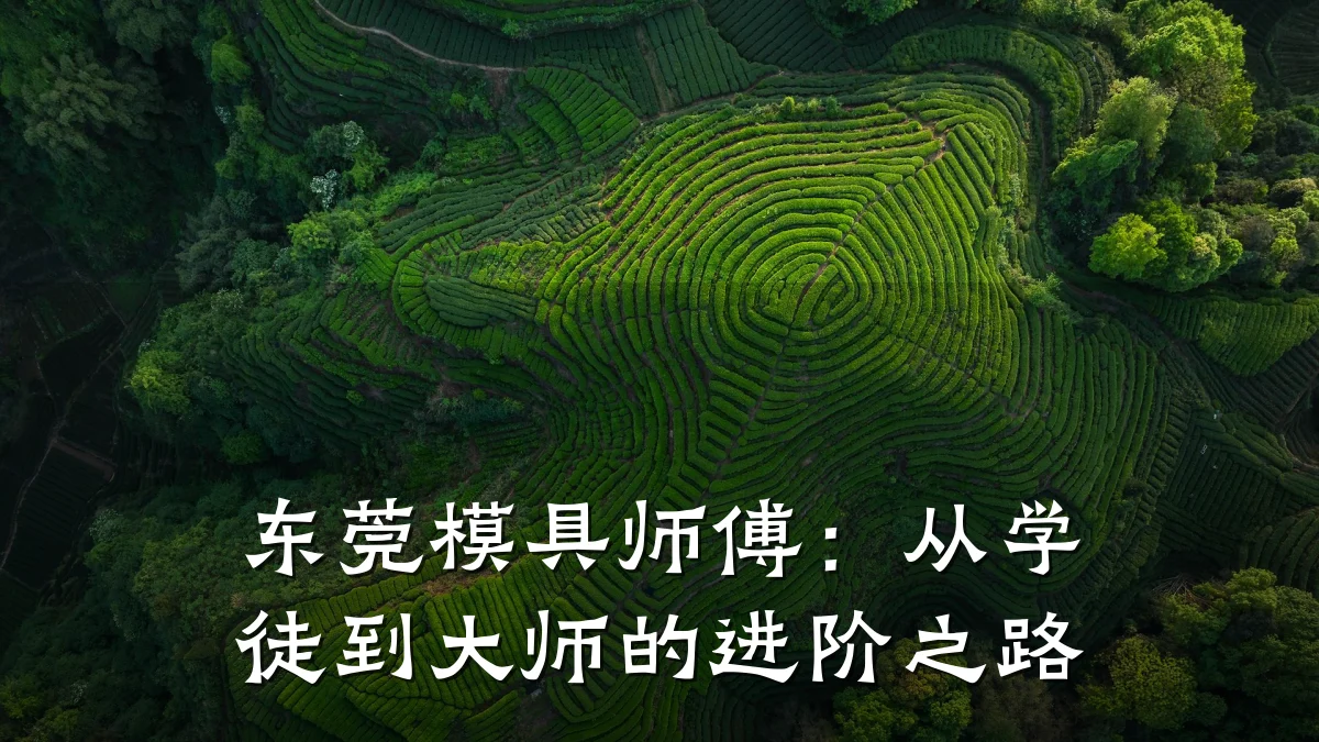 东莞模具师傅:从学徒到大师的进阶之路