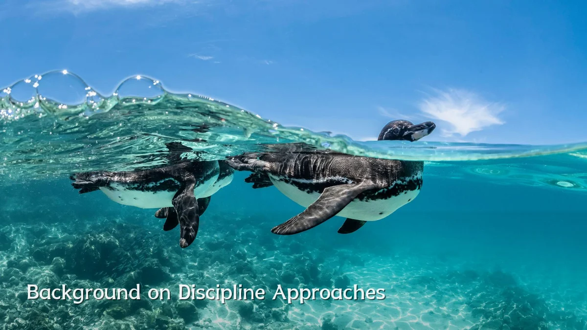 Background on Discipline Approaches