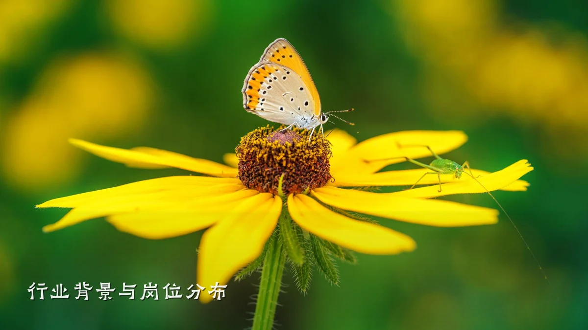 行业背景与岗位分布