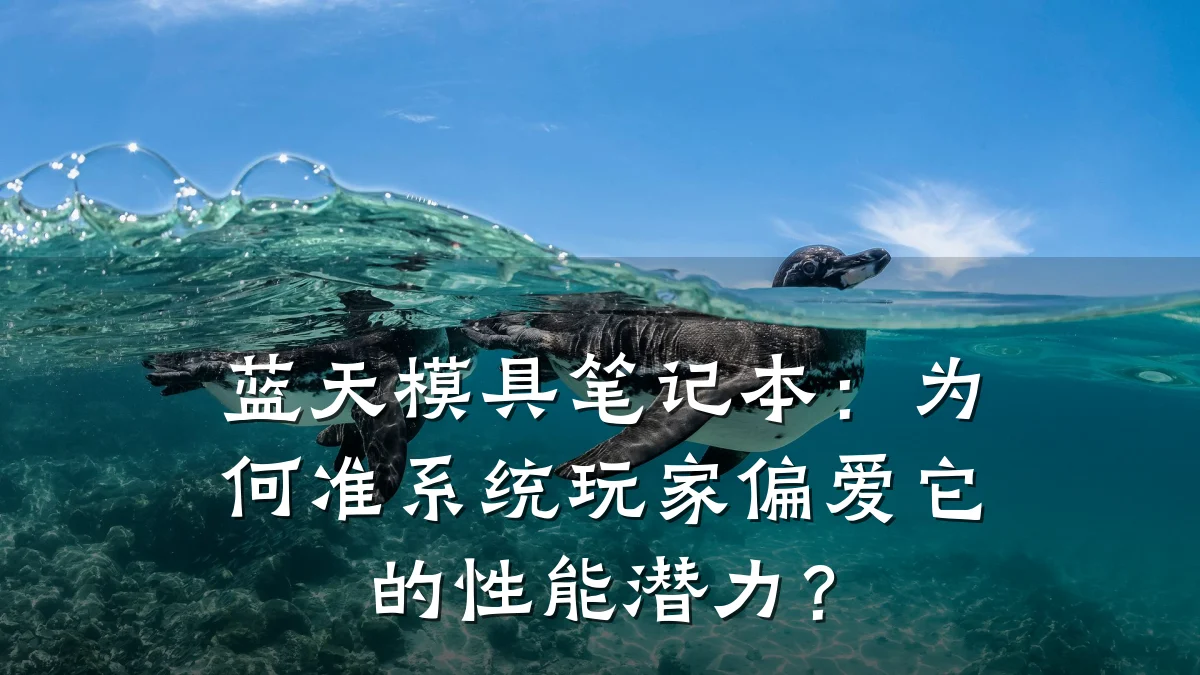 蓝天模具笔记本:为何准系统玩家偏爱它的性能潜力?