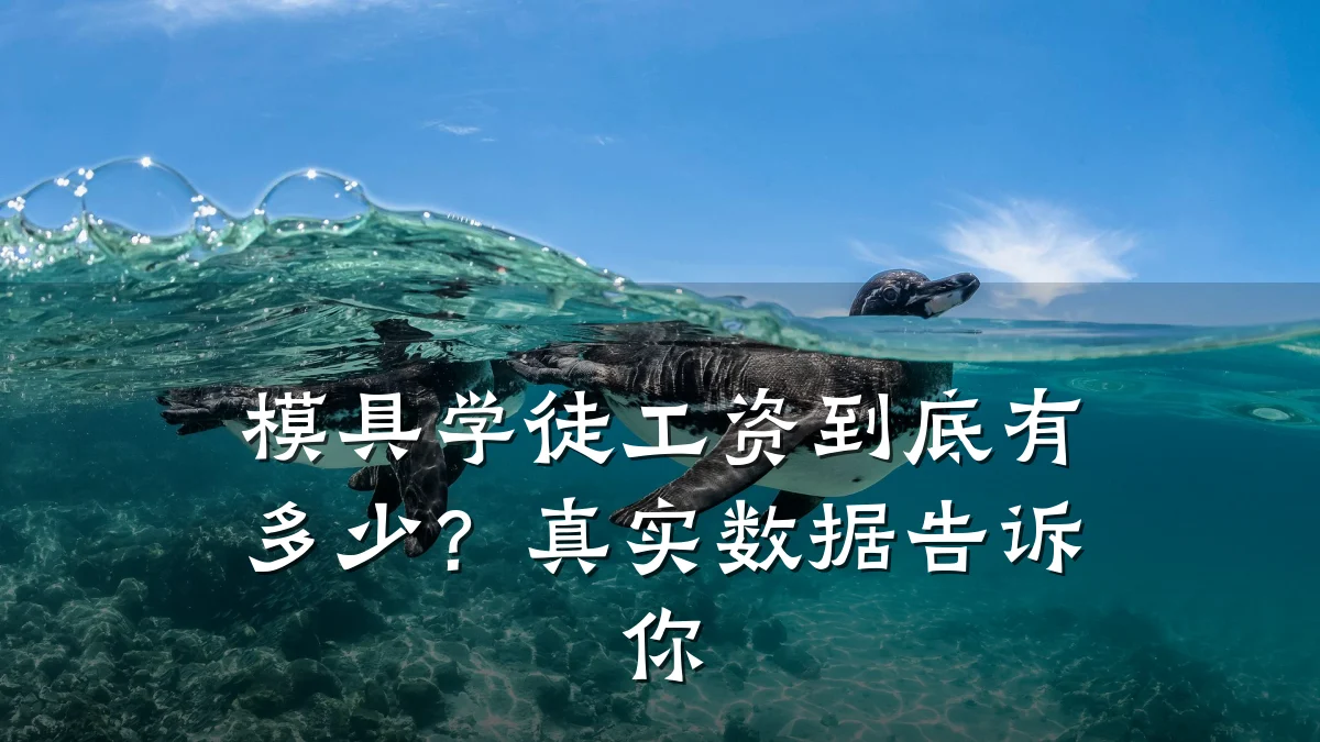 模具学徒工资到底有多少?真实数据告诉你