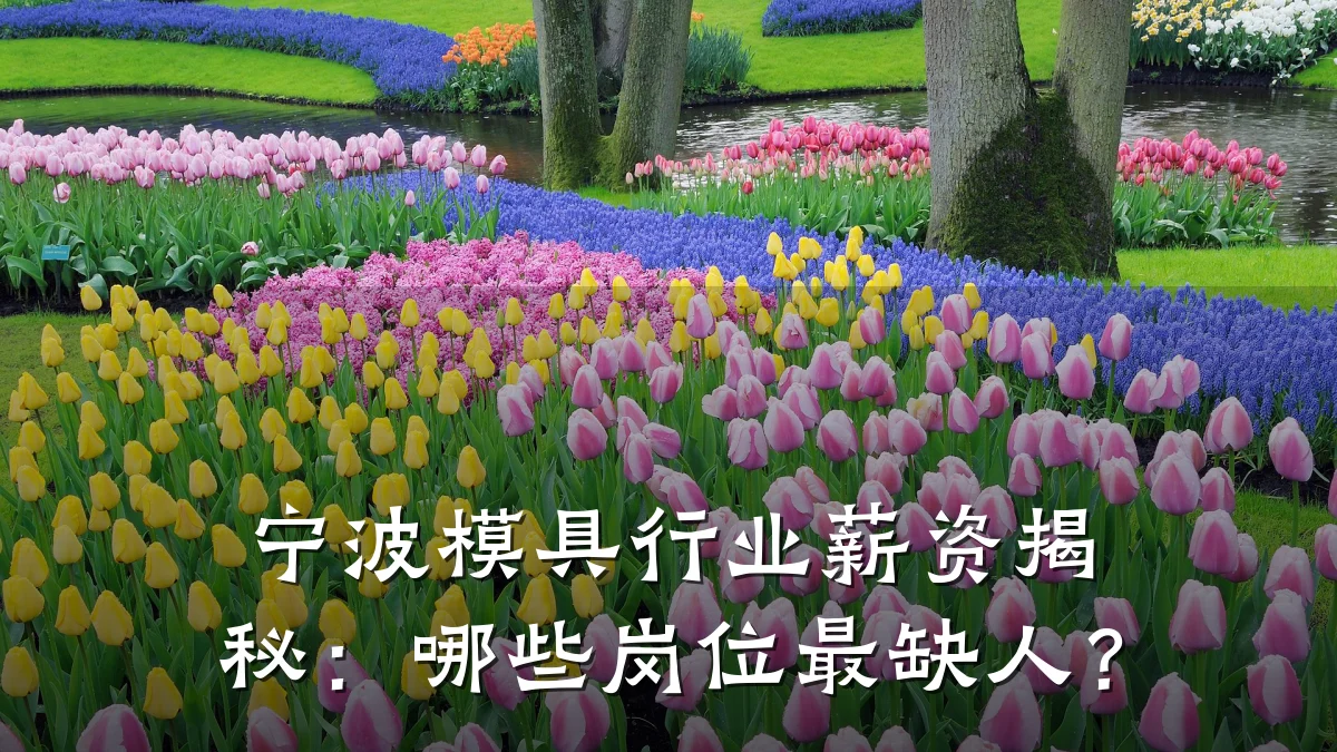 宁波模具行业薪资揭秘：哪些岗位最缺人？