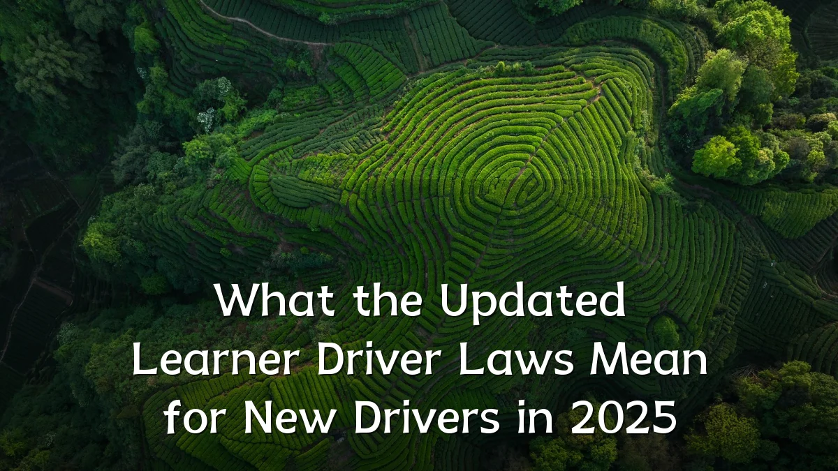 What the Updated Learner Driver Laws Mean for New Drivers in 2025