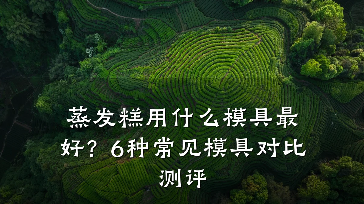 蒸发糕用什么模具最好?6种常见模具对比测评