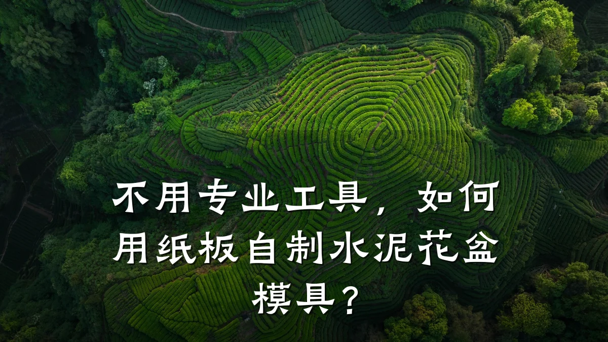 不用专业工具,如何用纸板自制水泥花盆模具?