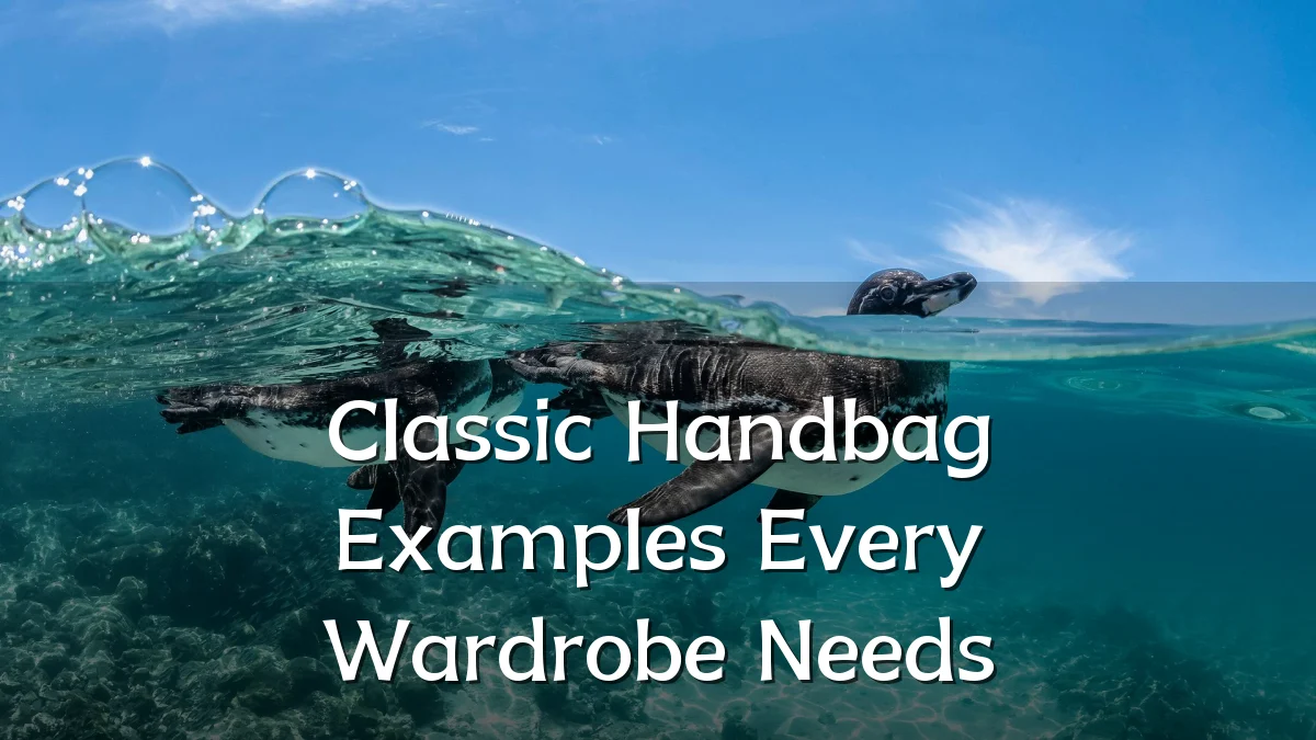 Classic Handbag Examples Every Wardrobe Needs