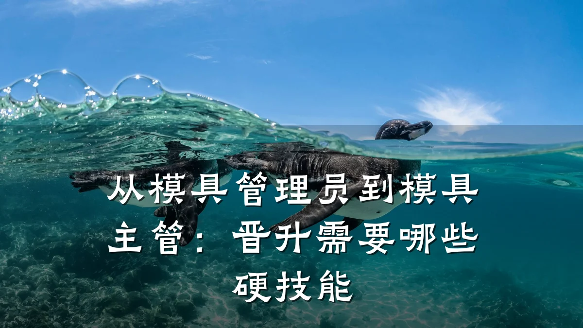 从模具管理员到模具主管:晋升需要哪些硬技能