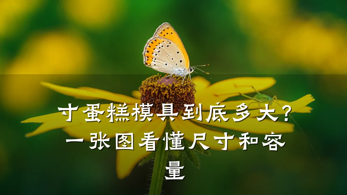 寸蛋糕模具到底多大？一张图看懂尺寸和容量