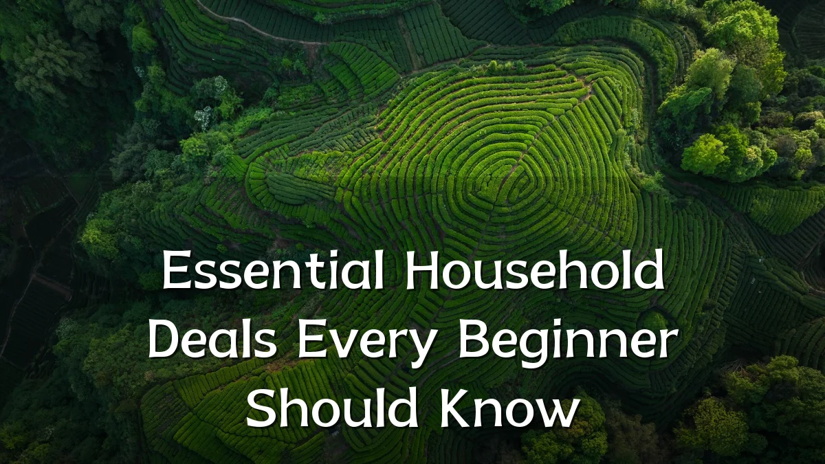 Essential Household Deals Every Beginner Should Know