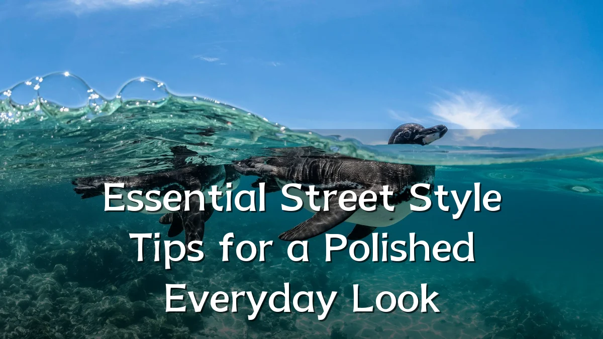 Essential Street Style Tips for a Polished Everyday Look