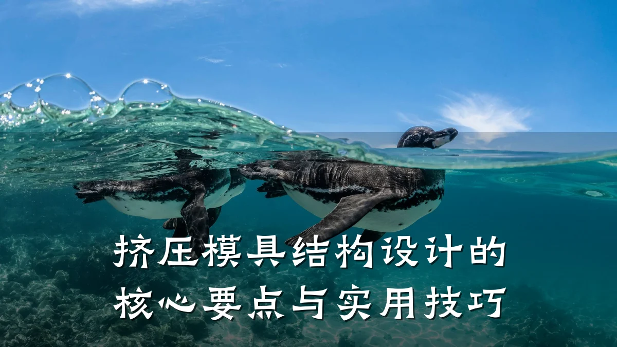 挤压模具结构设计的核心要点与实用技巧