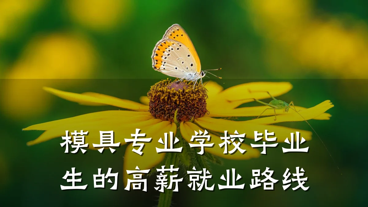 模具专业学校毕业生的高薪就业路线