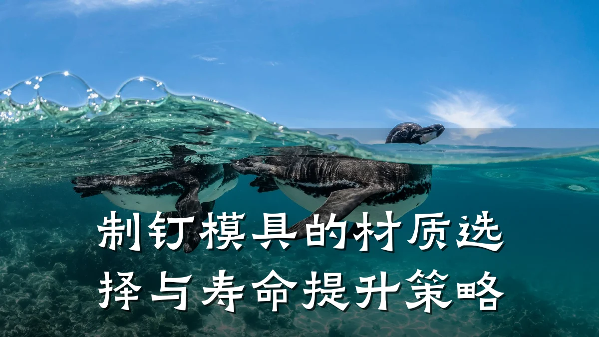 制钉模具的材质选择与寿命提升策略