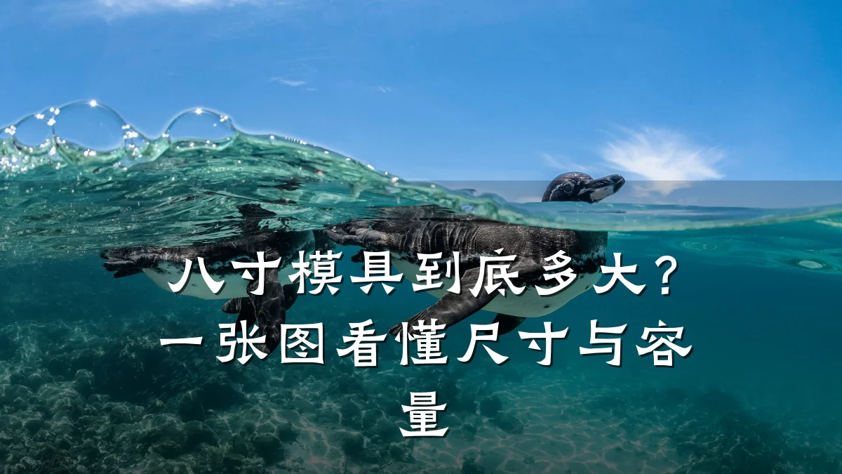 八寸模具到底多大?一张图看懂尺寸与容量