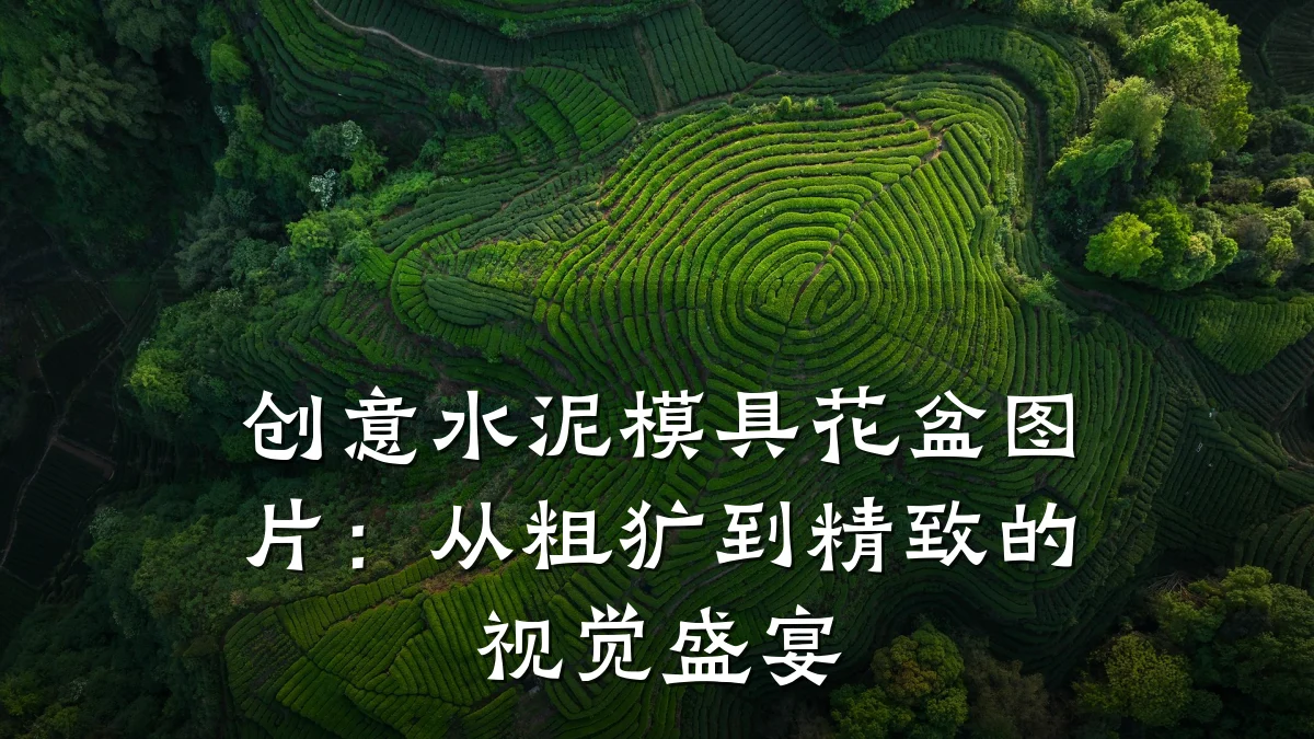 创意水泥模具花盆图片：从粗犷到精致的视觉盛宴