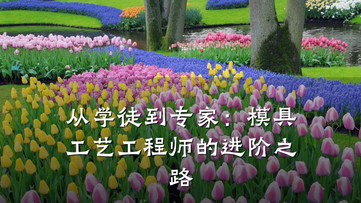 从学徒到专家:模具工艺工程师的进阶之路