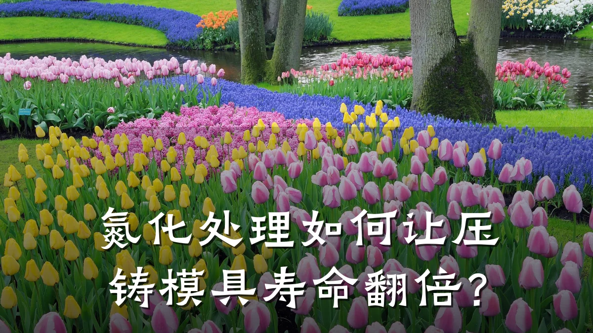 氮化处理如何让压铸模具寿命翻倍?