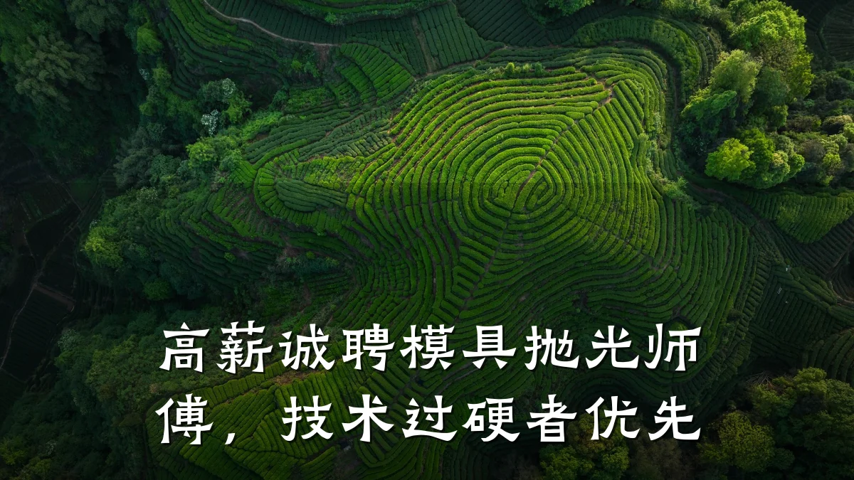 高薪诚聘模具抛光师傅,技术过硬者优先