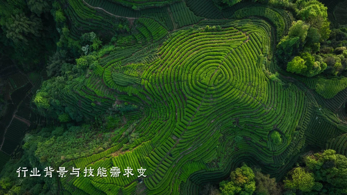 行业背景与技能需求变