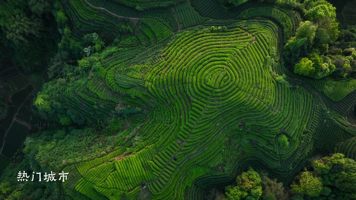 热门城市